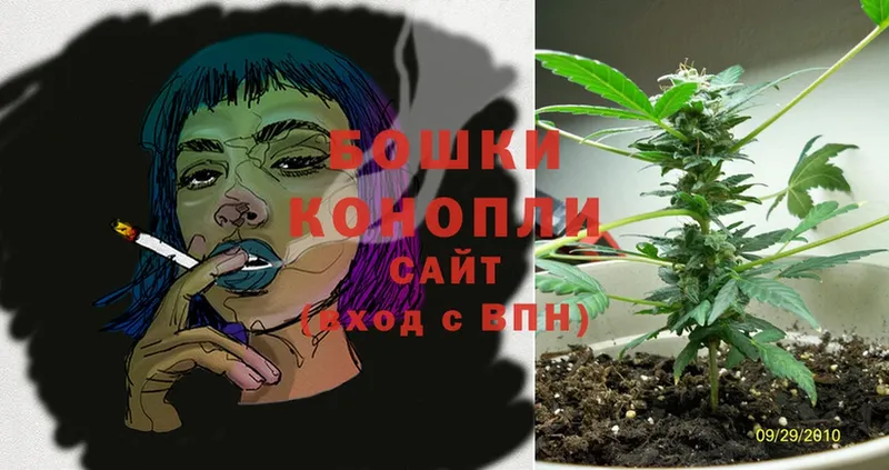 где купить наркоту  Бежецк  Бошки марихуана THC 21% 